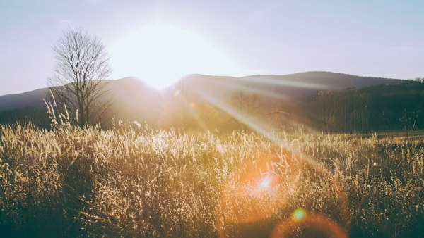 paysage enseoleillé